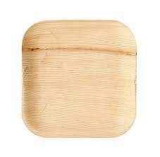 Assiette carrée 20x20cm - 25 pces Feuilles Palmier